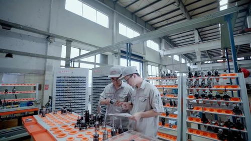 錫山區(qū)首家創(chuàng)業(yè)板上市企業(yè) 信息化工程引領(lǐng)區(qū)域產(chǎn)業(yè)升級(jí)