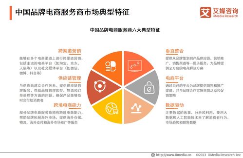 2023年中國(guó)品牌電商服務(wù)商行業(yè) 需求增長(zhǎng)與咨詢服務(wù)發(fā)展展望